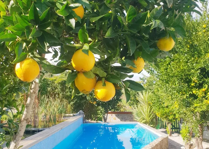 The Far End Surf House - Surf & Yoga Holidays Lourinhã