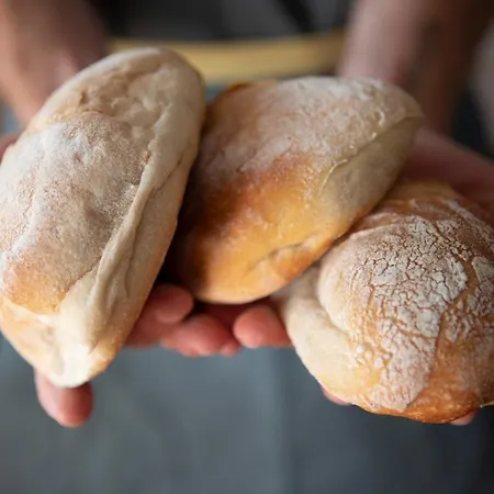 Bed and breakfast The Far End Surf House - Surf & Yoga Holidays