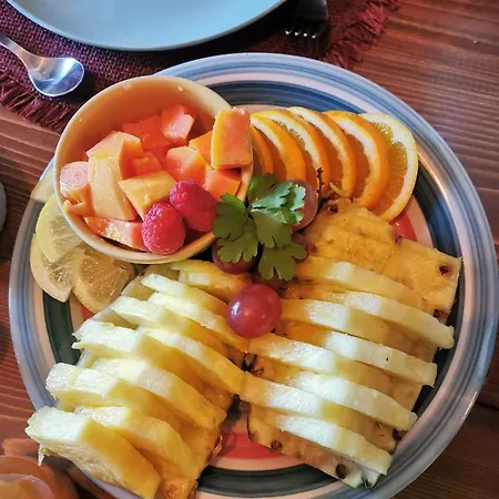 Bed and breakfast The Far End Surf House - Surf & Yoga Holidays