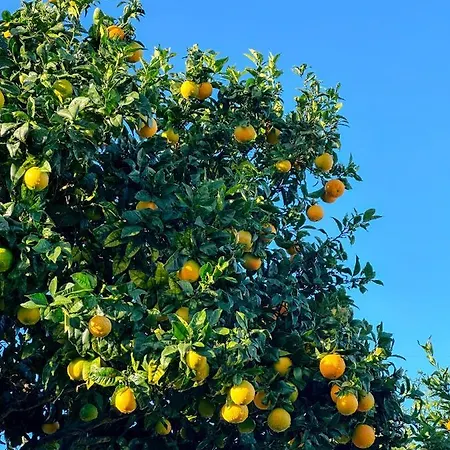 The Far End Surf House - Surf & Yoga Holidays * Lourinhã