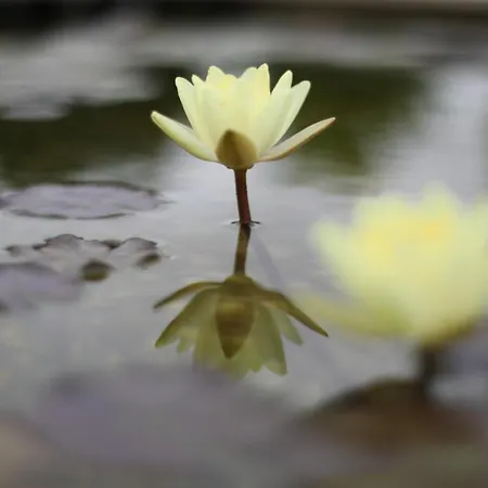 Bed and breakfast The Far End Surf House - Surf & Yoga Holidays Lourinhã