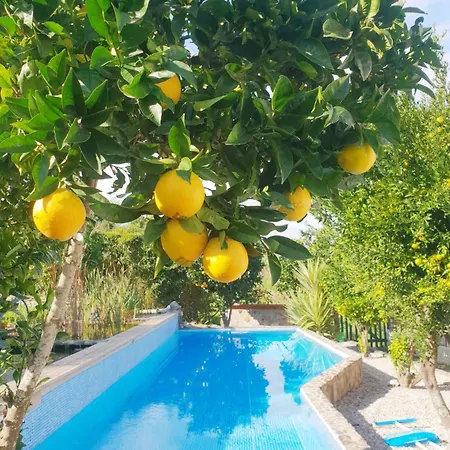 The Far End Surf House - Surf & Yoga Holidays Lourinhã