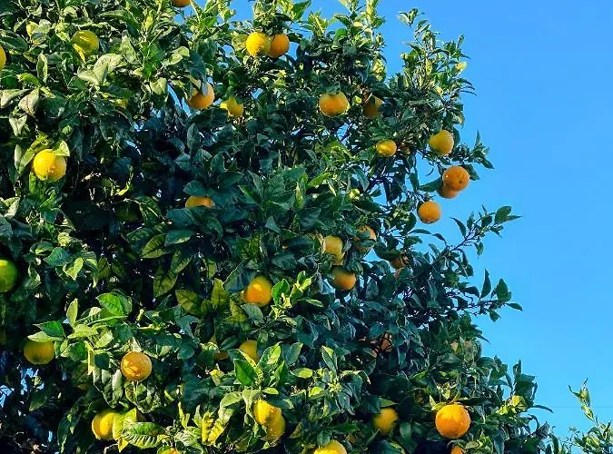 The Far End Surf House - Surf & Yoga Holidays * Lourinha (Lisbon)