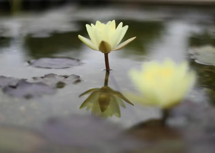 Bed & Breakfast The Far End Surf House - Surf & Yoga Holidays Lourinha (Lisbon)